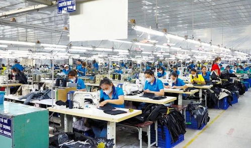 東莞電子廠外遷越南，工人失業(yè)困境與網(wǎng)絡(luò)技術(shù)服務(wù)解決方案